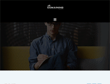 Tablet Screenshot of domaining.info